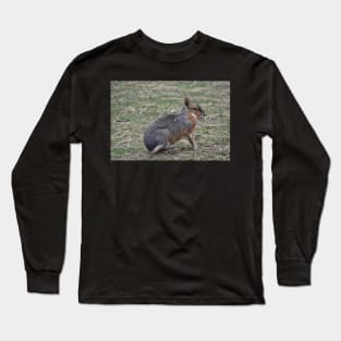 Patagonian Cavy Long Sleeve T-Shirt